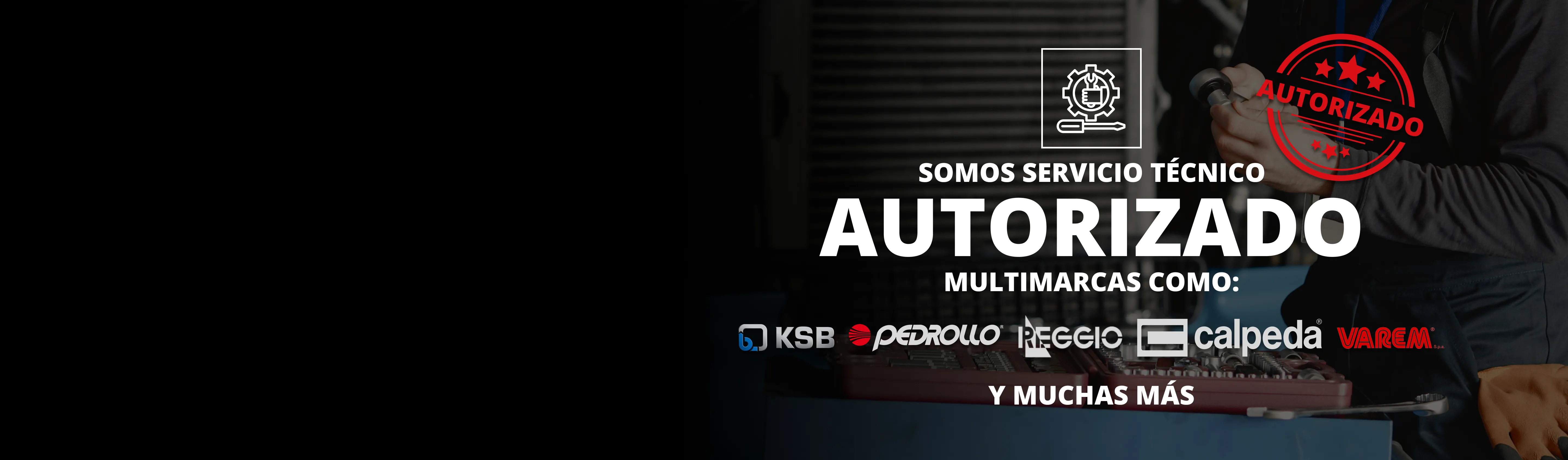 Servicio Técnico autorizado